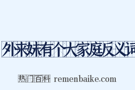 外来妹有个大家庭反义词是什么意思的图片